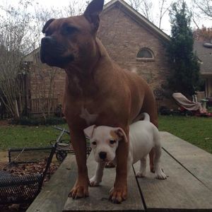 Meet your Posher, Pam